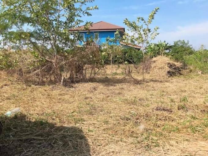 ที่ดินถมแล้วสวย หนองตำลึง 90 ตรว. ภาพที่ 4
